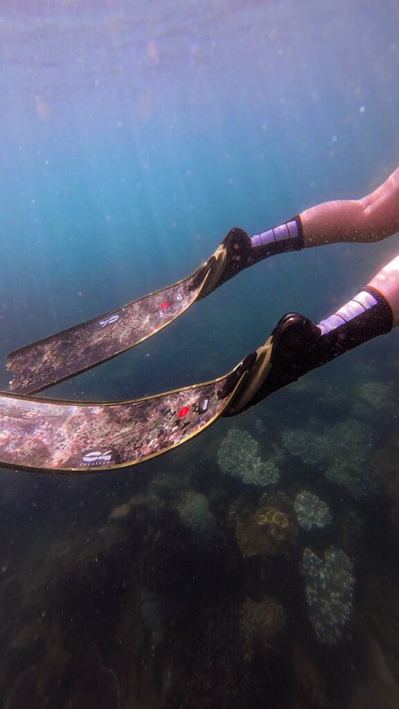 Attività di snorkeling a Siracusa