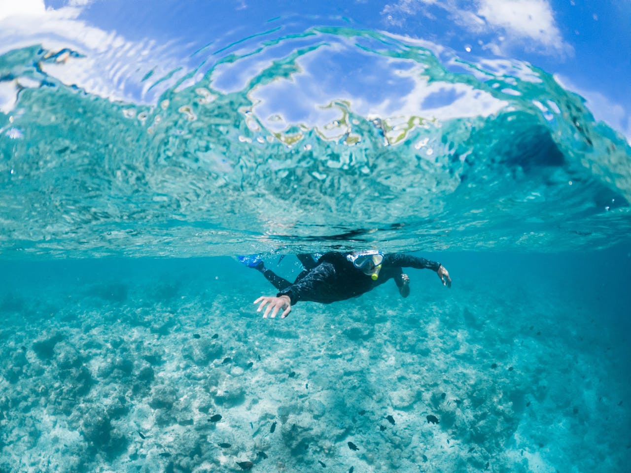 Anonymous person in wetsuit and goggles swimming in turquoise seawater beneath blue sky on sunny weather